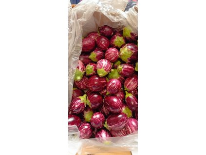 WhatsApp Image 2025 11 13 at 10.21.59