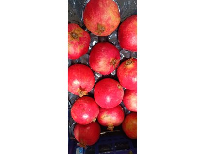 WhatsApp Image 2025 11 13 at 10.21.58