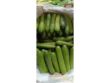 WhatsApp Image 2025 11 13 at 10.21.58 (2)