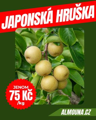 🍐✨ Novinka v Al Mouna! ✨🍐 Ochutnejte japonskou hrušku – šťavnatou, křupavou a dokonale osvěžující! 🥰 Skvělá jen tak na...