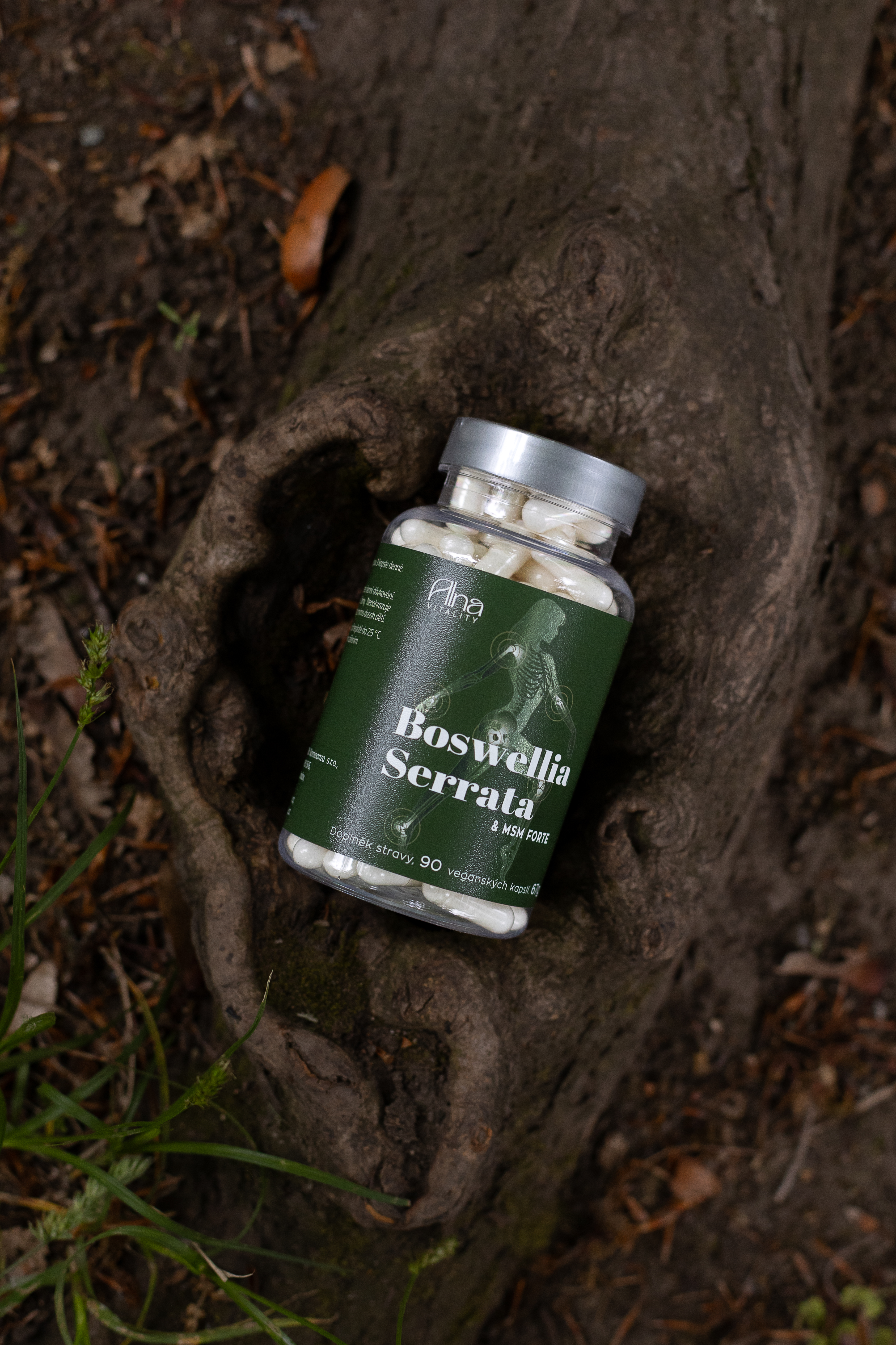Boswellia Serrata a MSM FORTE Alna Vitality
