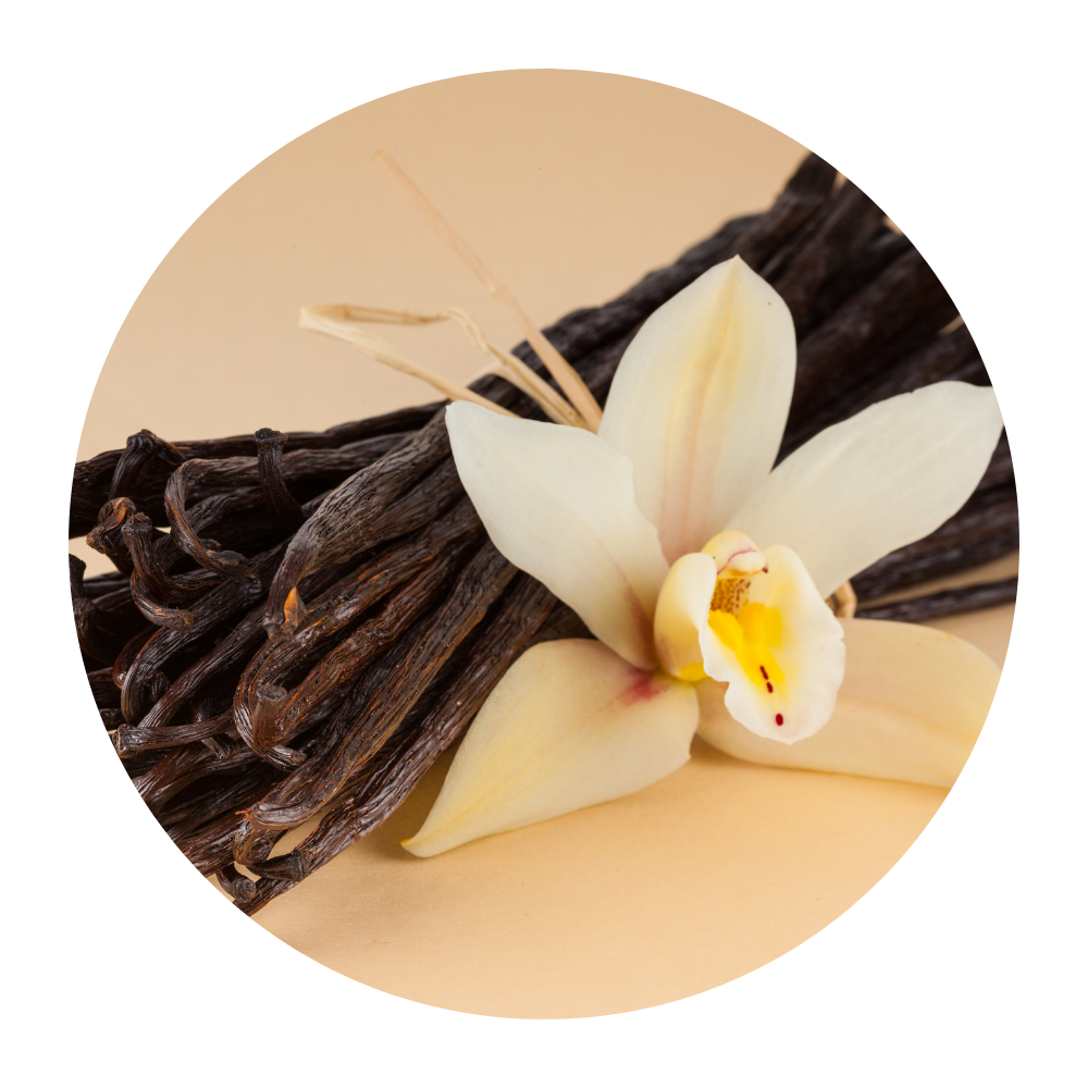 BIO Bourbon vanilka