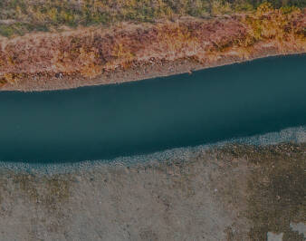 Thalassická věda a péče