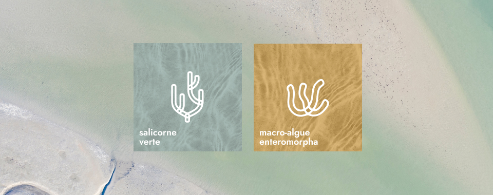 Udržování hydratace