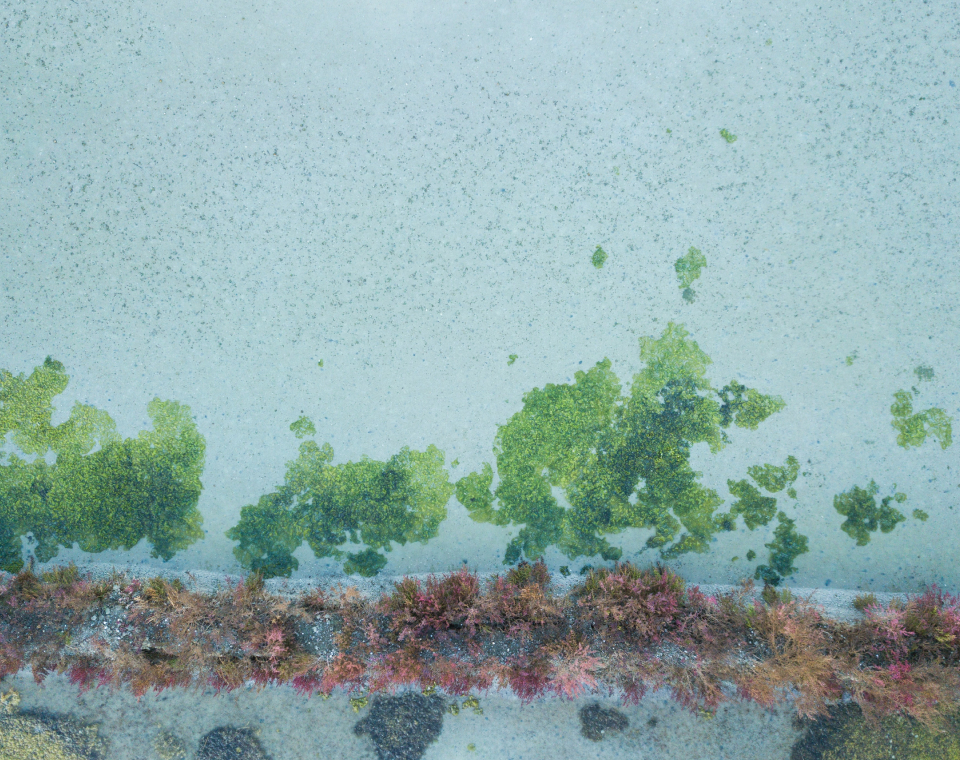 Biodiverzita volá po filantropii