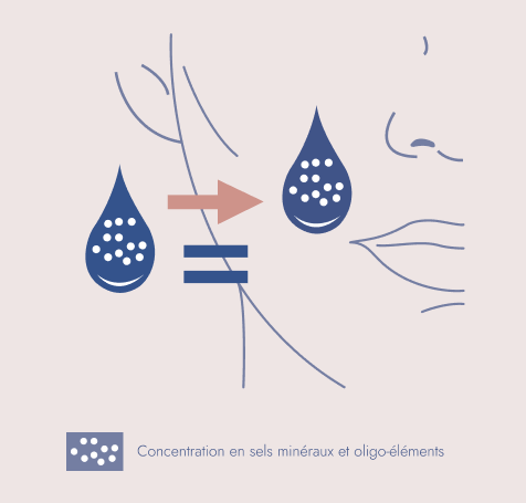 Izotonicita, pro dokonalou afinitu k pokožce