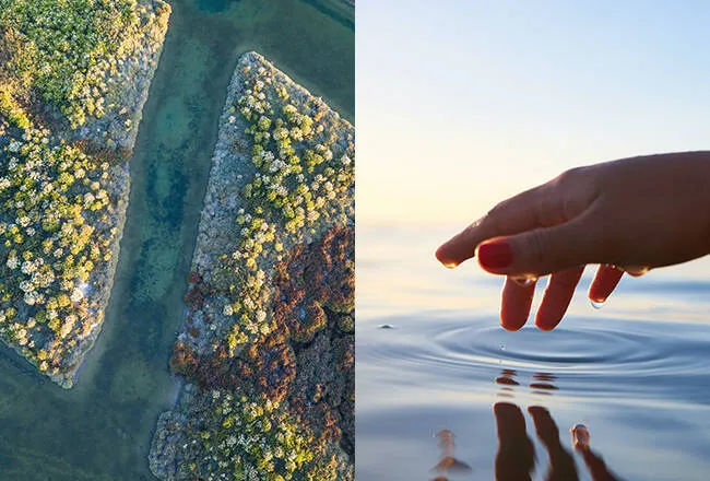 acf-composition-image-029549