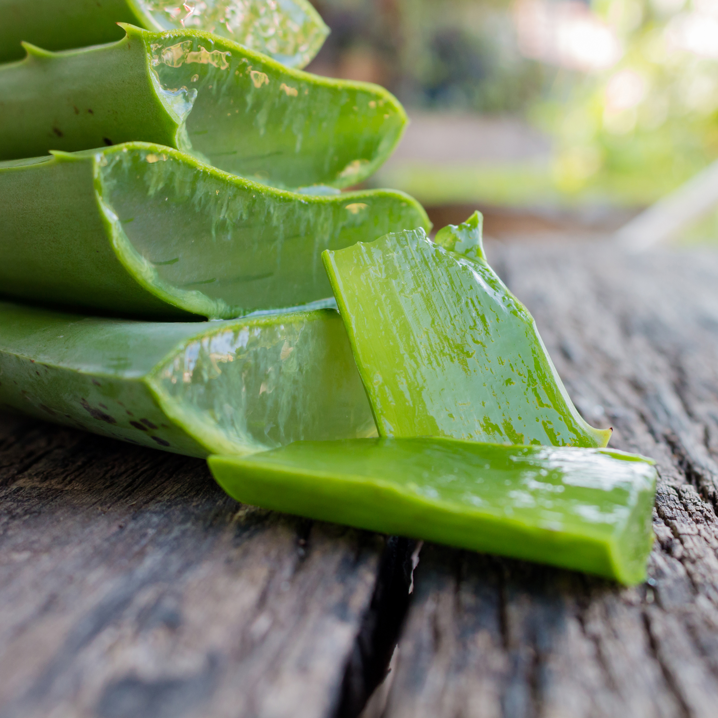 Aloe vera ako balzam na trávenia