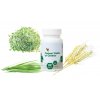Forever Fields of Greens™  80 tabliet