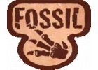 Fossil