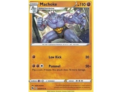 CPA 025/073 Machoke - Champion’s Path