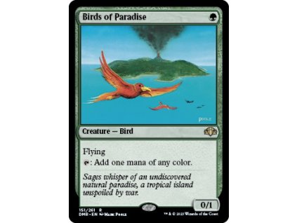 Birds of Paradise