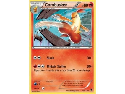 FFI 013/111 Combusken - Furious Fists