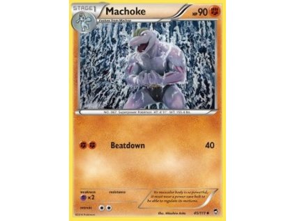 FFI 045/111 Machoke - Furious Fists