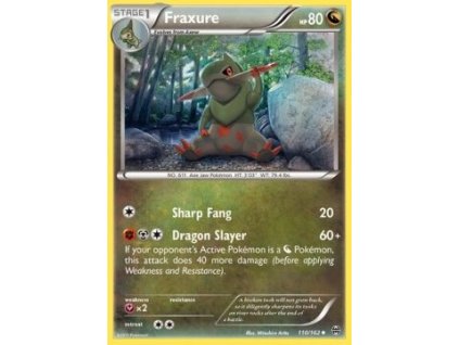 BKT 110/162 Fraxure - BREAKthrough