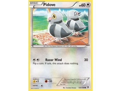 BCR 123/149 Pidove - Boundaries Crossed