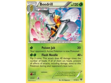 XY 005/146 Beedrill - XY