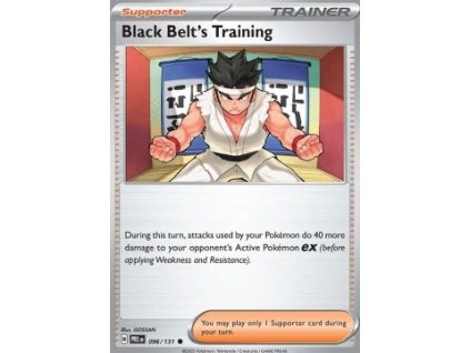 PRE 096/131 Black Belt's Training - Prismatic Evolutions