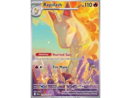DRI 189/182 Rapidash - Destined Rivals