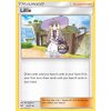 SLG 062/073 Lillie - Shining Legends