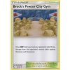 HIF 054/068 Brock's Pewter City Gym - Hidden Fates