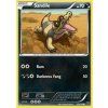 XY 069/146 Sandile - XY
