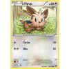 XY 108/146 Lillipup - XY