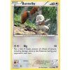 XY 111/146 Bunnelby - XY