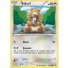 PRC 116/160 Bidoof - Primal Clash