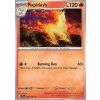 SCR 020/142 Rapidash - Stellar Crown