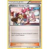 GEN 068/083 Pokémon Center Lady - Generations