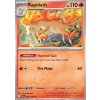 DRI 030/182 Rapidash - Destined Rivals