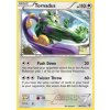 FFI 086/111 Tornadus - Furious Fists