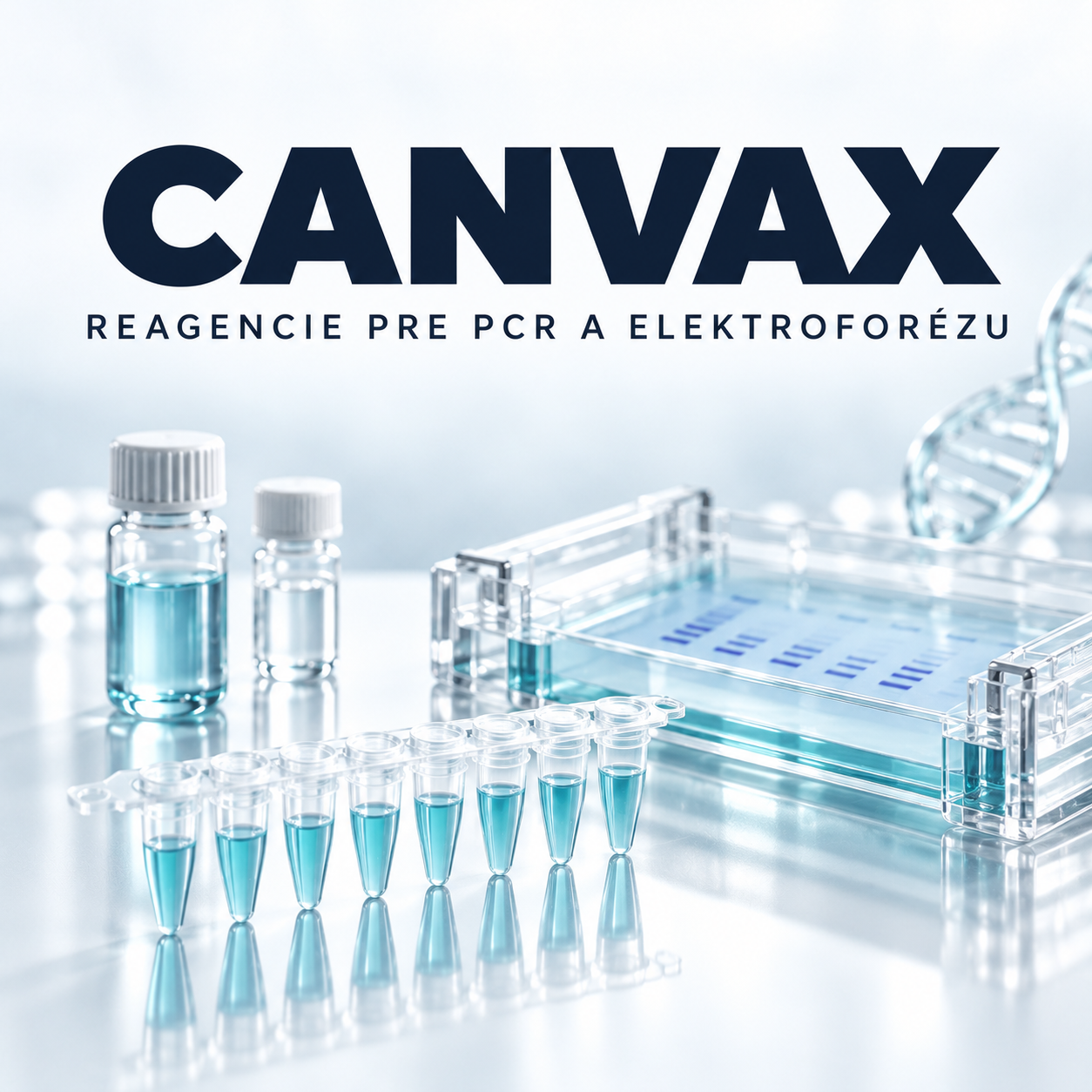 Canvax: reagencie pre PCR, elektroforézu a izoláciu DNA