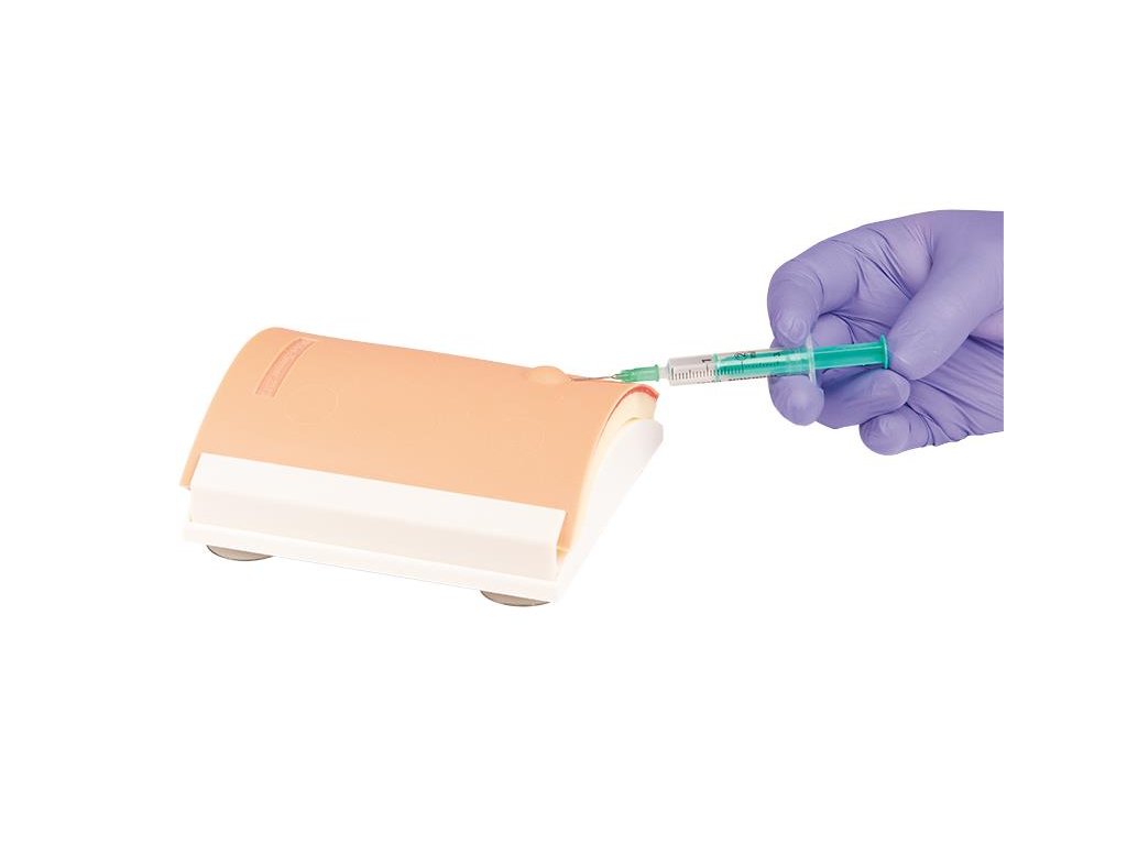 Model na výcvik intradermálnych injekcií 7110 I ERLER ZIMMER
