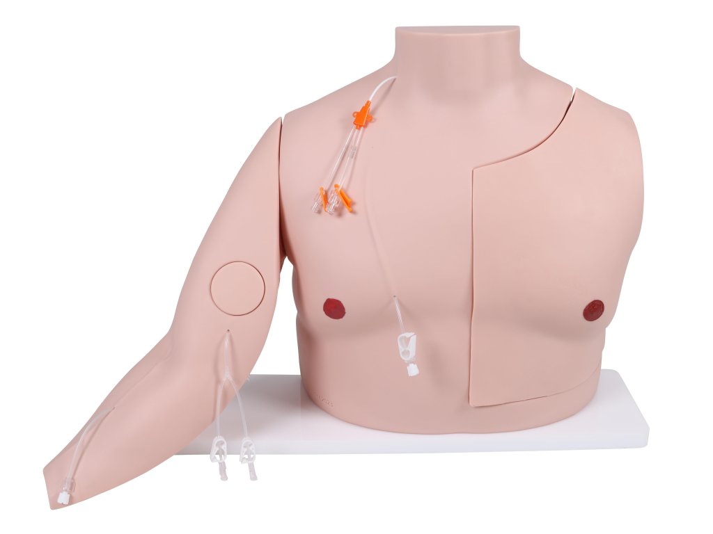 Tréningový model Port a CVC prístupu Vascular Victor 7650 I ERLER ZIMMER