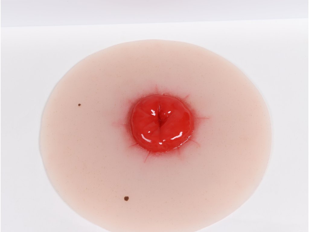 PW021P 1 b314c5f5533c718bcae6940951488863