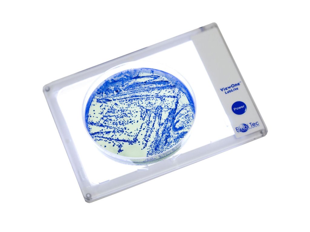 Transiluminátor ViewOne LabLite Embitec