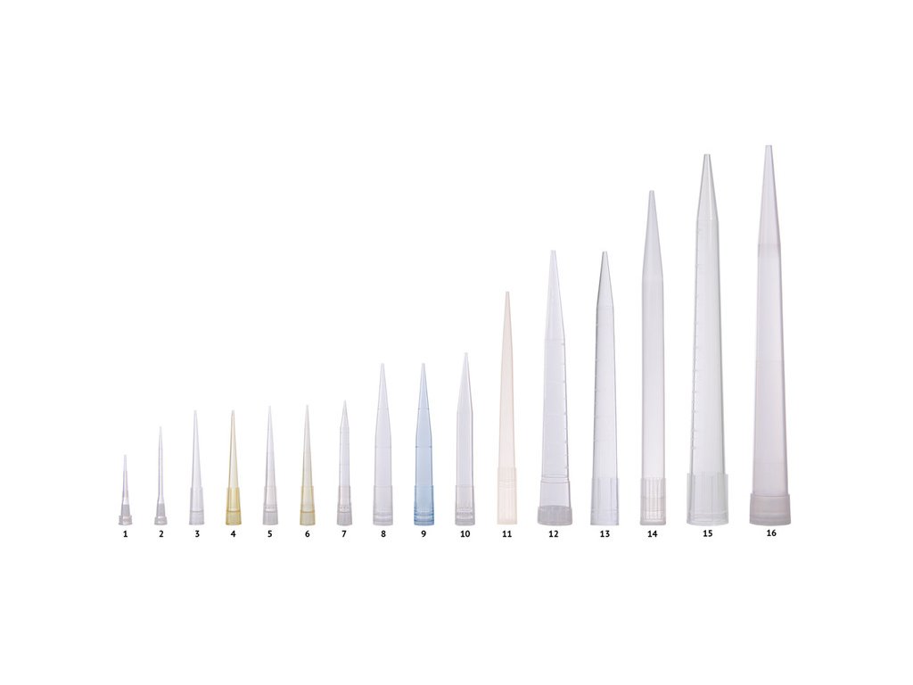 5925 5925 5871 spicky labsolute