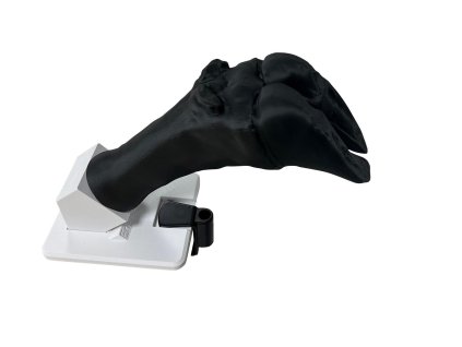 14631 14631 vet4900 1