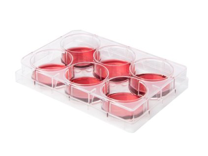 Kultivačné platničky na bunkové kultúry, LABSOLUTE (Počet jamiek 96 jamkové)