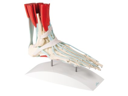 49215 49215 6052 neu