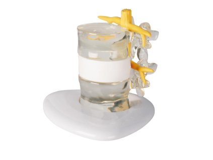 49359 49359 simulator vyhreznutej platnicky 4400 i erler zimmer