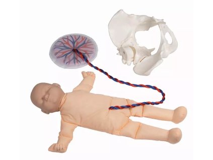 49404 4071klein1 1 800x800