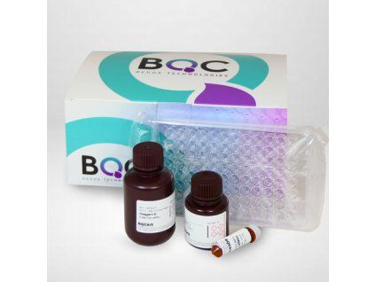 TBARS Assay Kit MDA Quantification – 100 Tests | Bioquochem