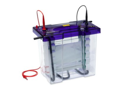 Maxi PAGE and Western Blotting Kit with Reagents