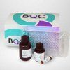 TBARS Assay Kit MDA Quantification – 200 Tests | Bioquochem