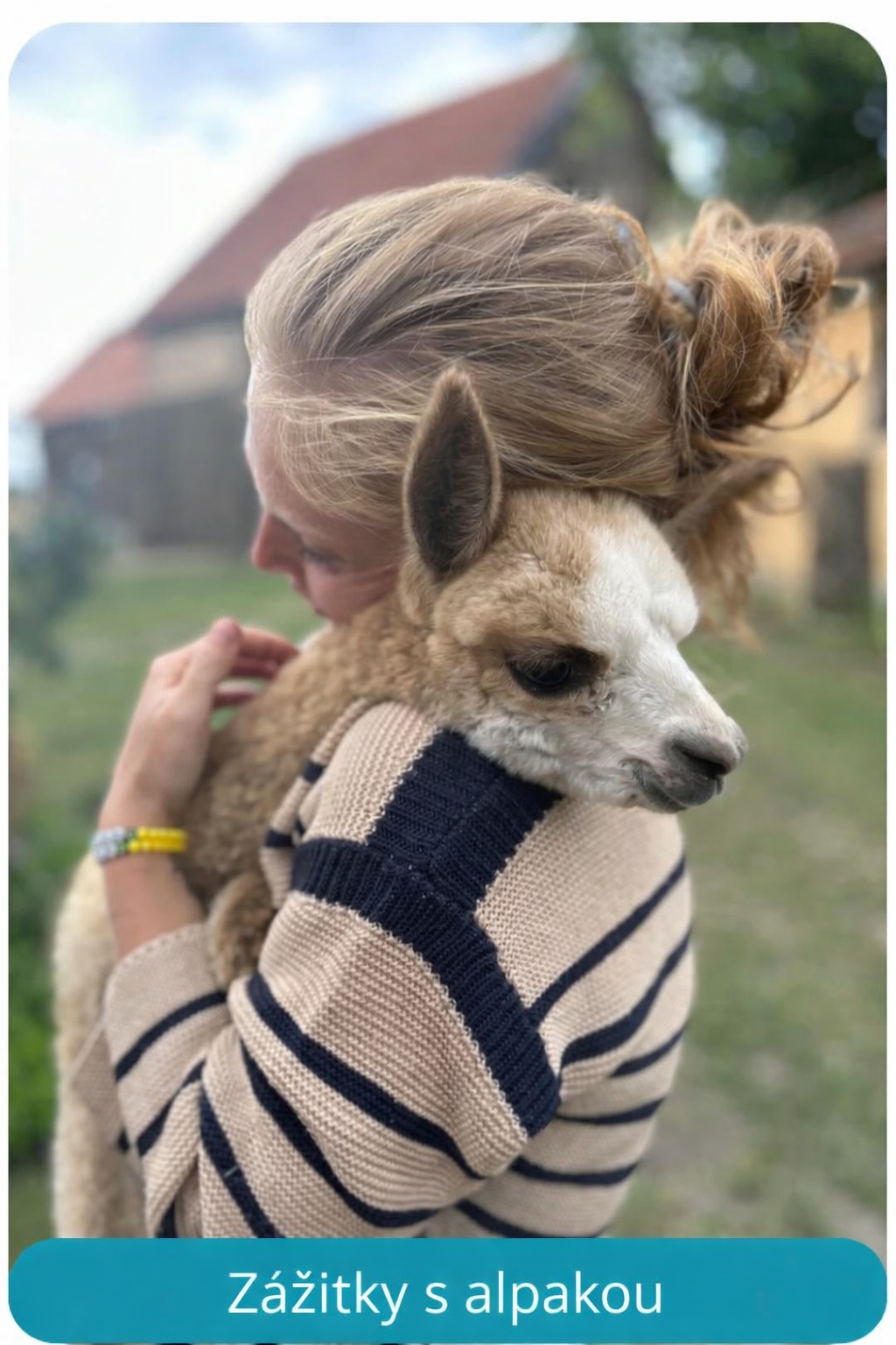 Zážitky s alpakou