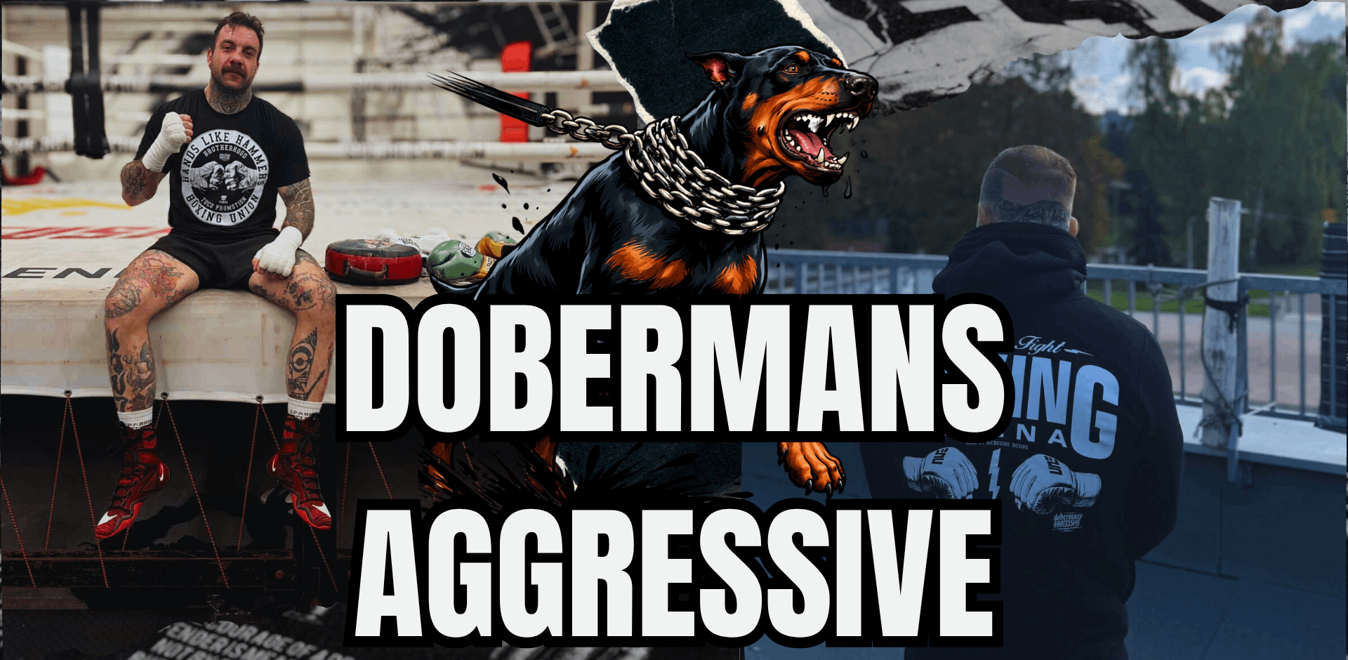Dobrmans