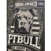 PitBull West Coast - pánské triko TROUBLEMAKER washed zelená (Velikost 3XL)